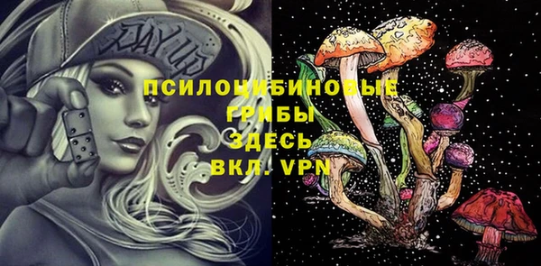 мдпв Волосово