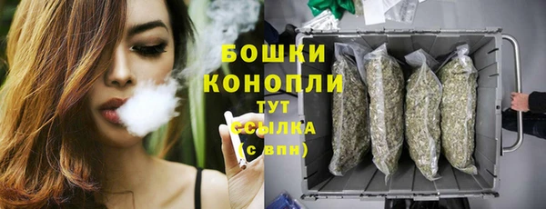 стаф Володарск