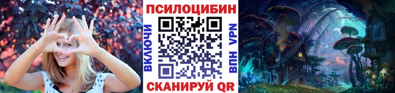 МЕГА ССЫЛКА  Дорогобуж  Псилоцибиновые грибы Cubensis 